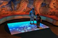 Интерактивный пол EYEPLAY Gold