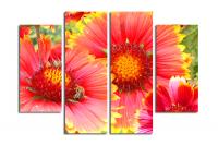Модульная картина "Прекрасная гайлардия"